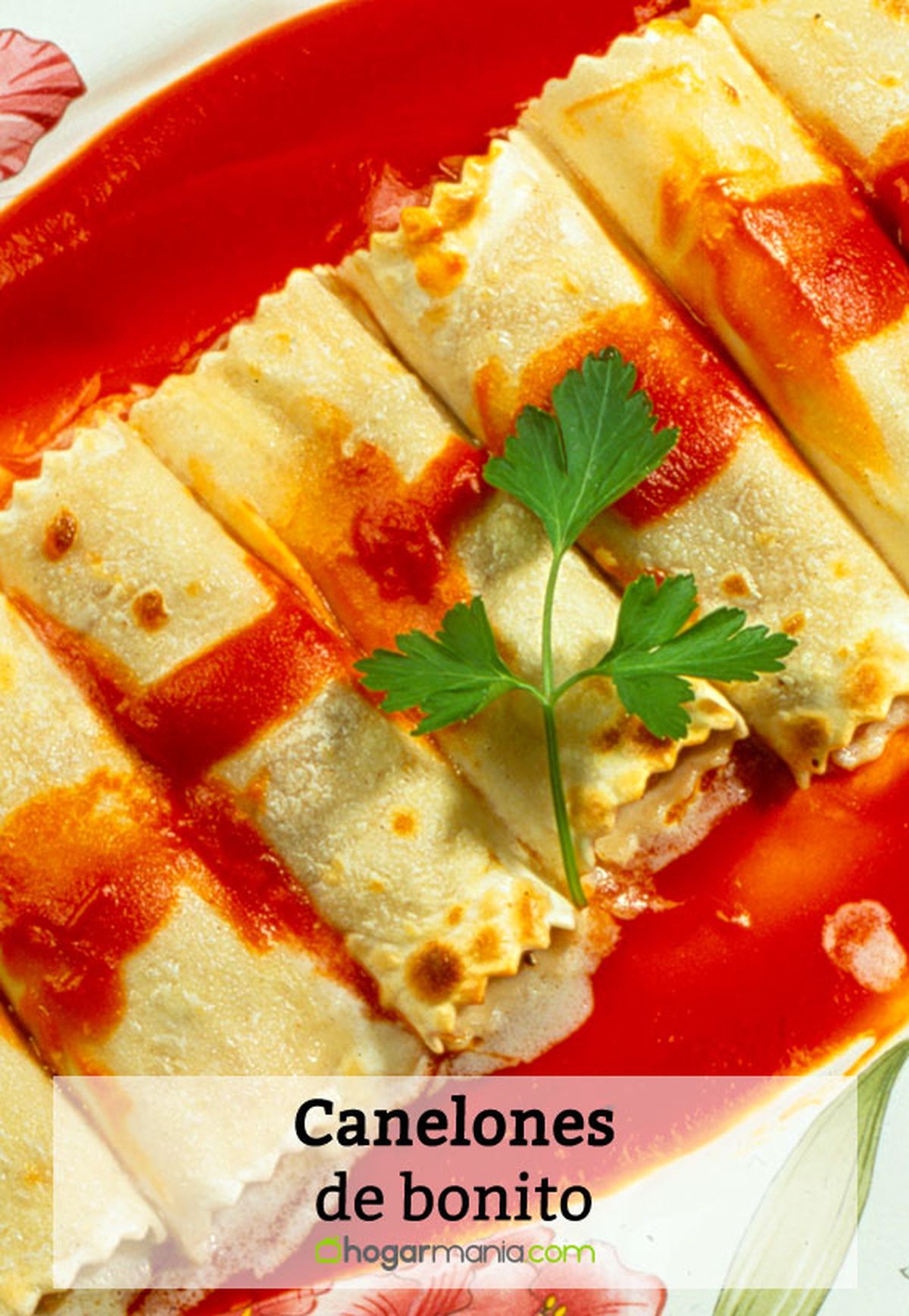 003 2 canelones bonito pin