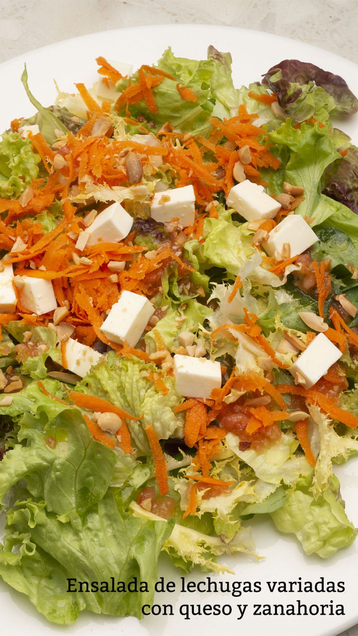 ensalada de lechugas variadas con queso y zanahoria v