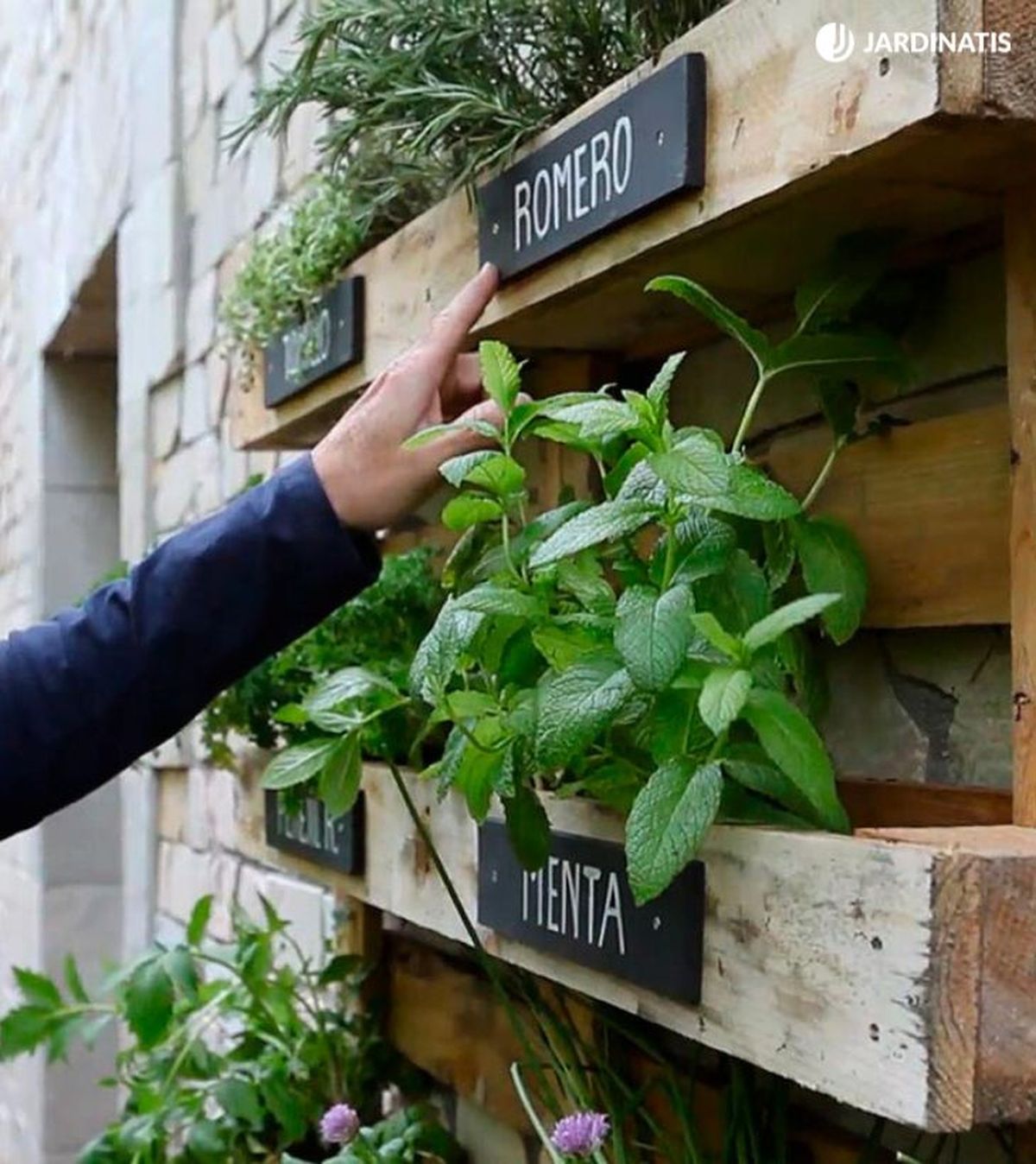 Cada vez son más populares los jardines o huertos verticales con palet