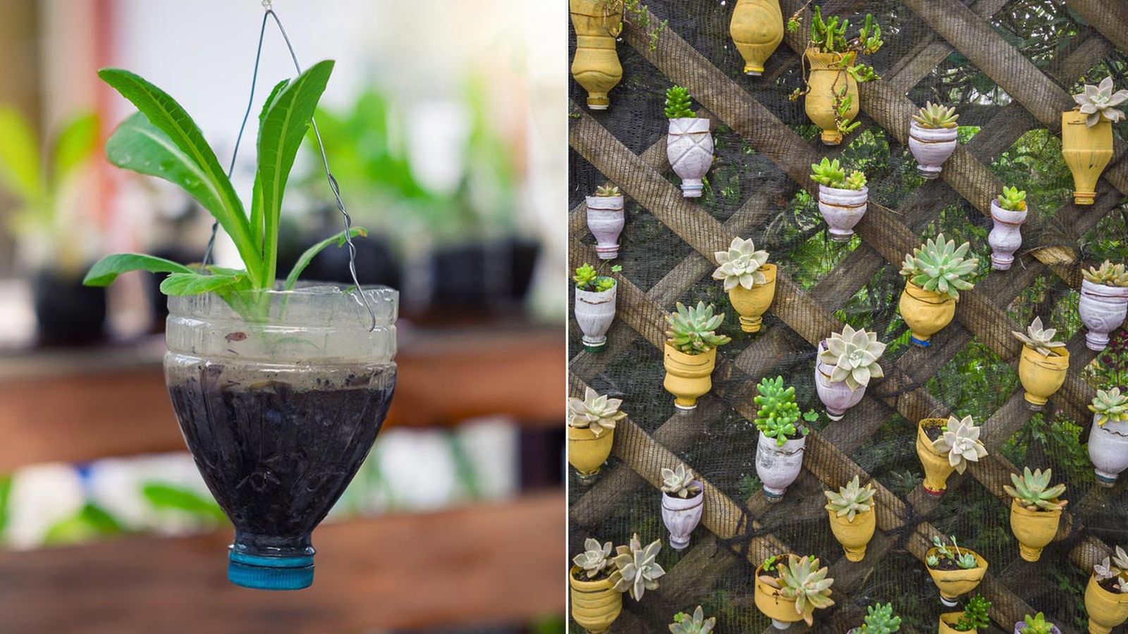reutilizar botellas de plastico como maceteros reutilizar botellas de plastico como maceteros
