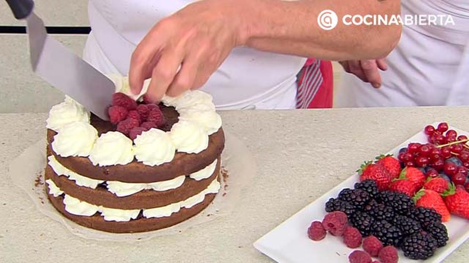 karl6811 tarta selva p3 karl6811 tarta selva p3