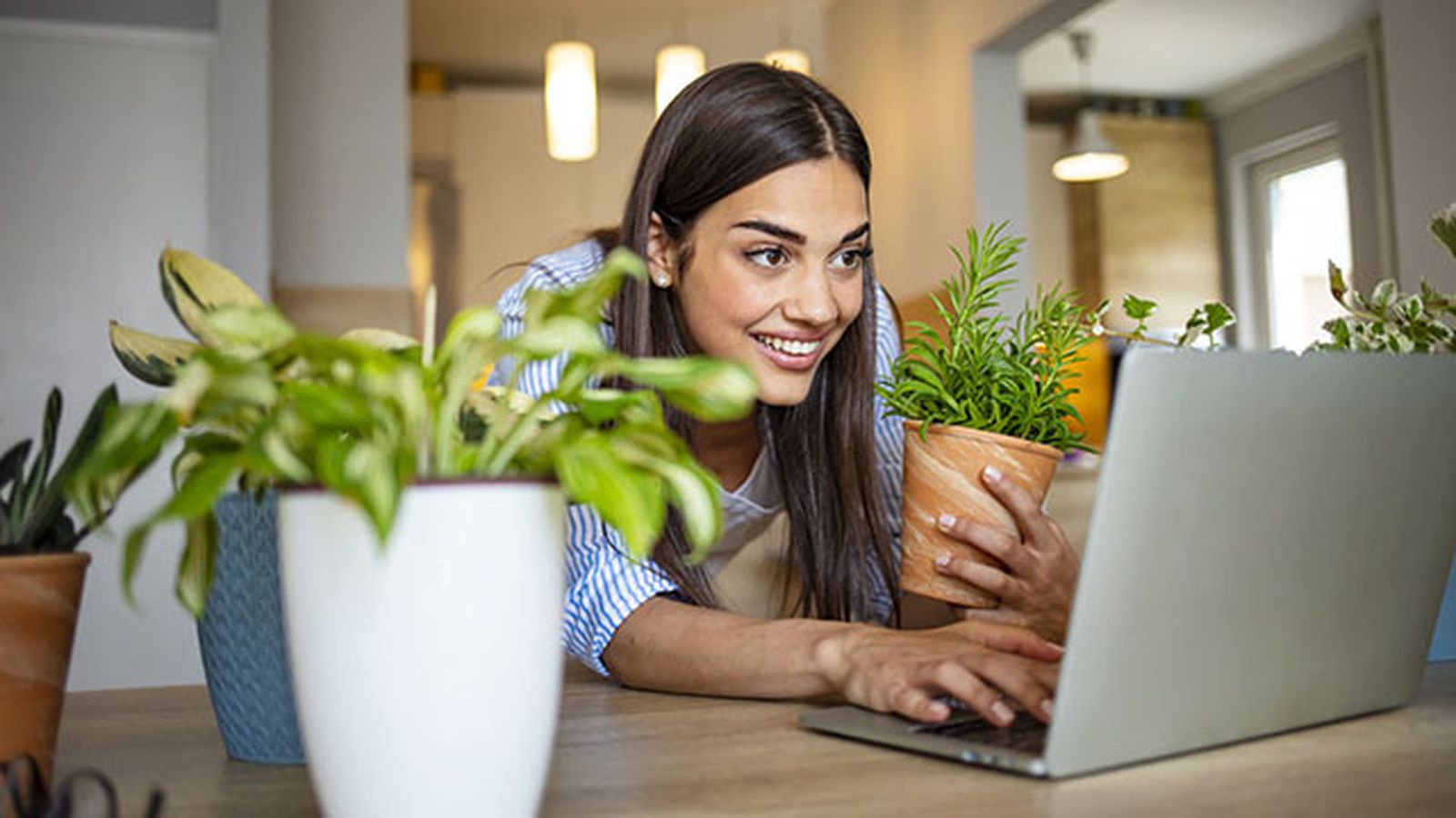 Los cursos online son una forma estupenda de aprender Los cursos online son una forma estupenda de aprender