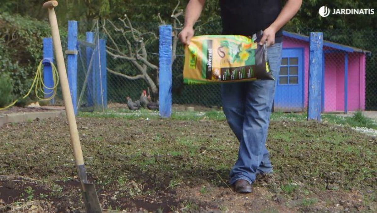 Añadir enmienda orgánica