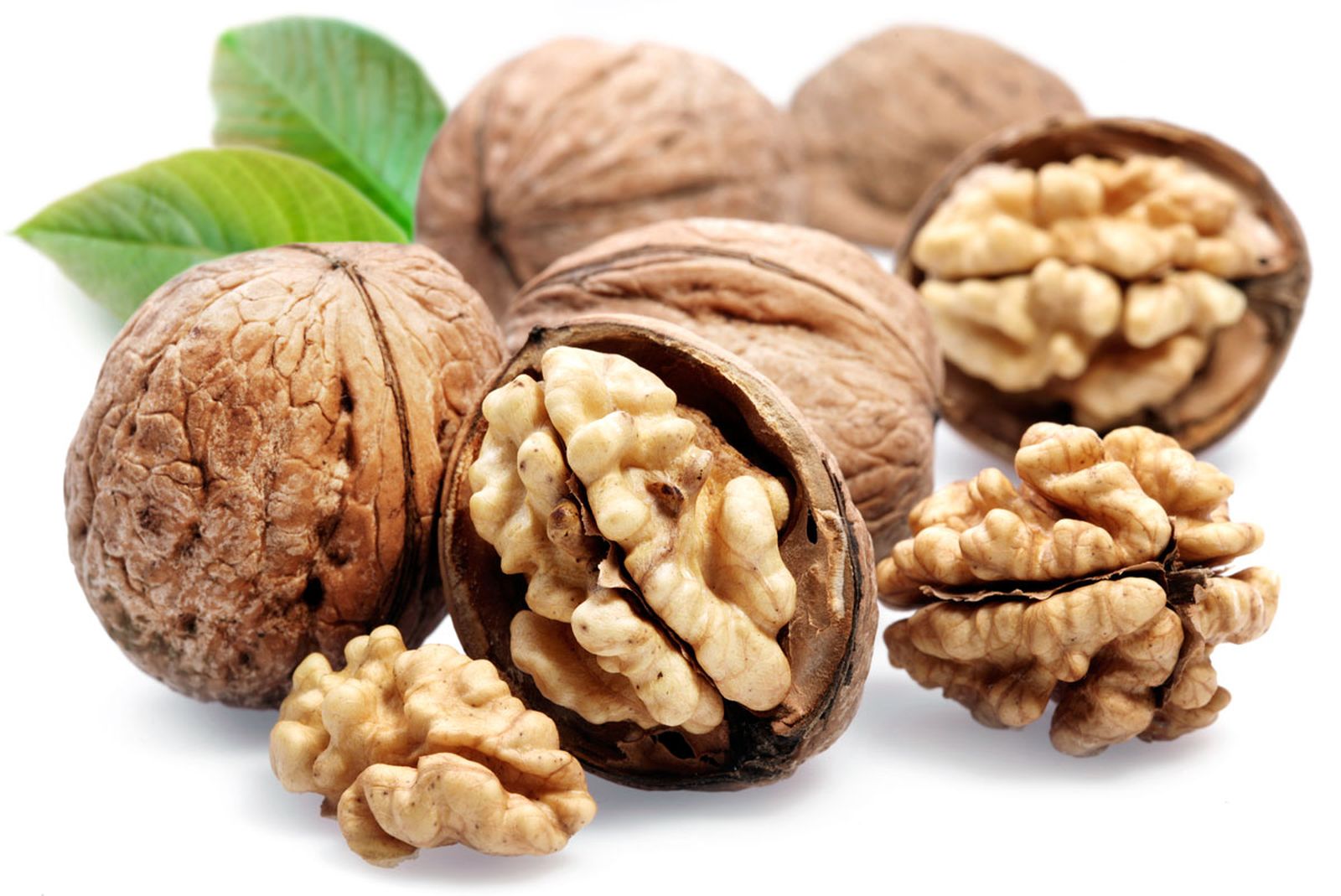 nueces 3 xl