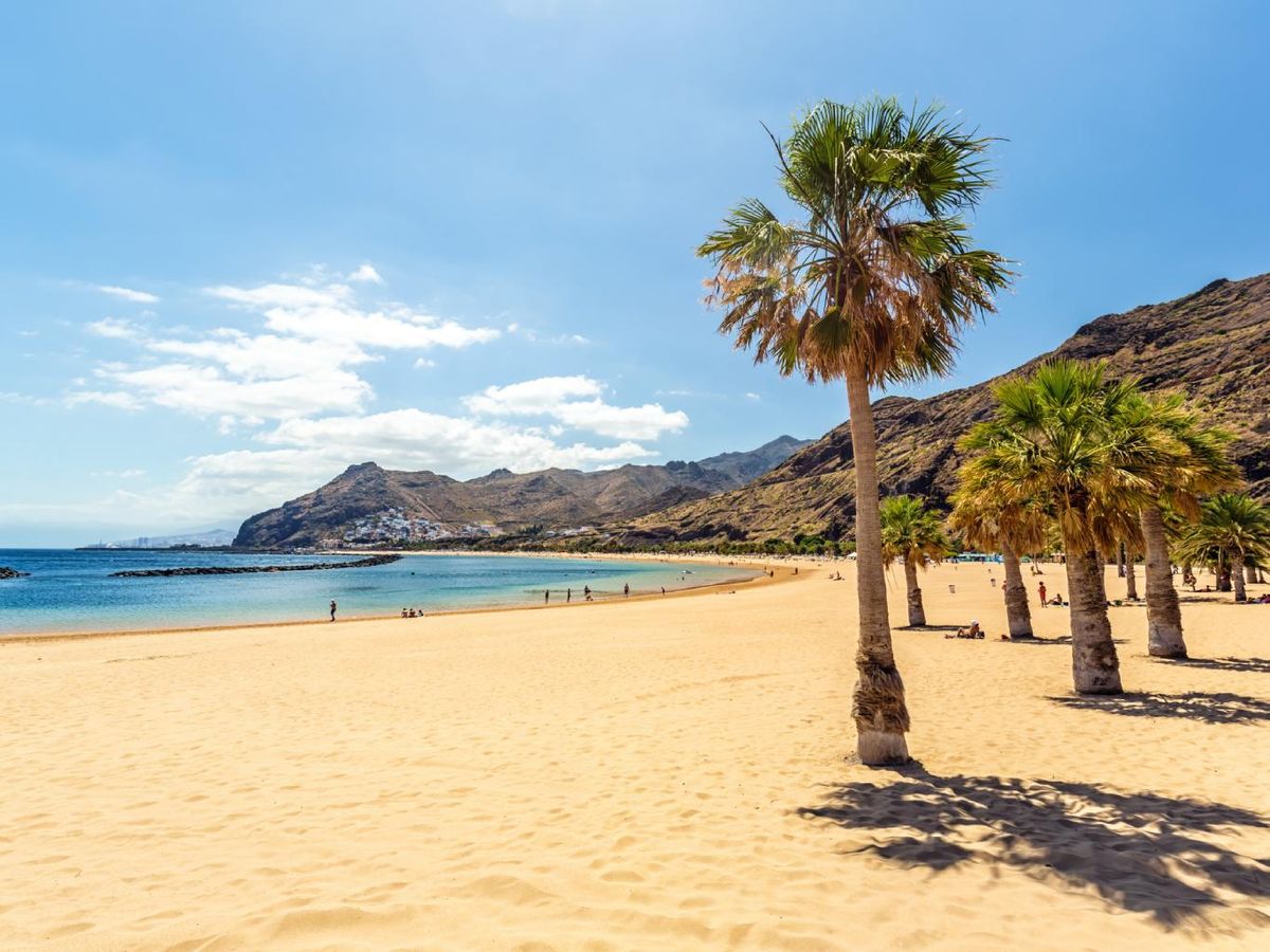 Las salinidad puede afectar más a los jardines de las zonas costeras.