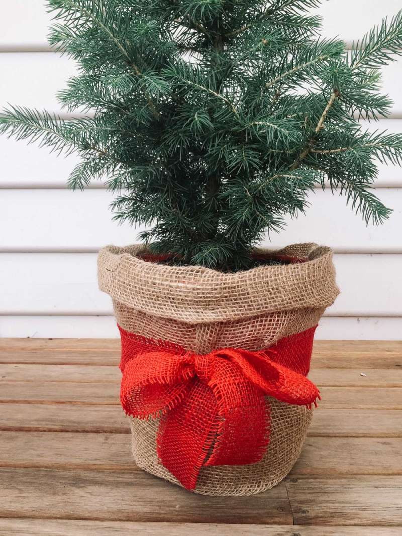 Árbol de Navidad con cesta tipo saco de fibras naturales. Árbol de Navidad con cesta tipo saco de fibras naturales.