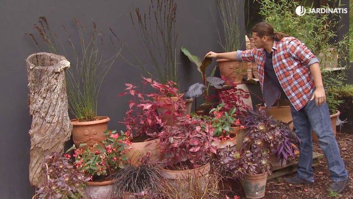 Composición floral en tonos fucsias