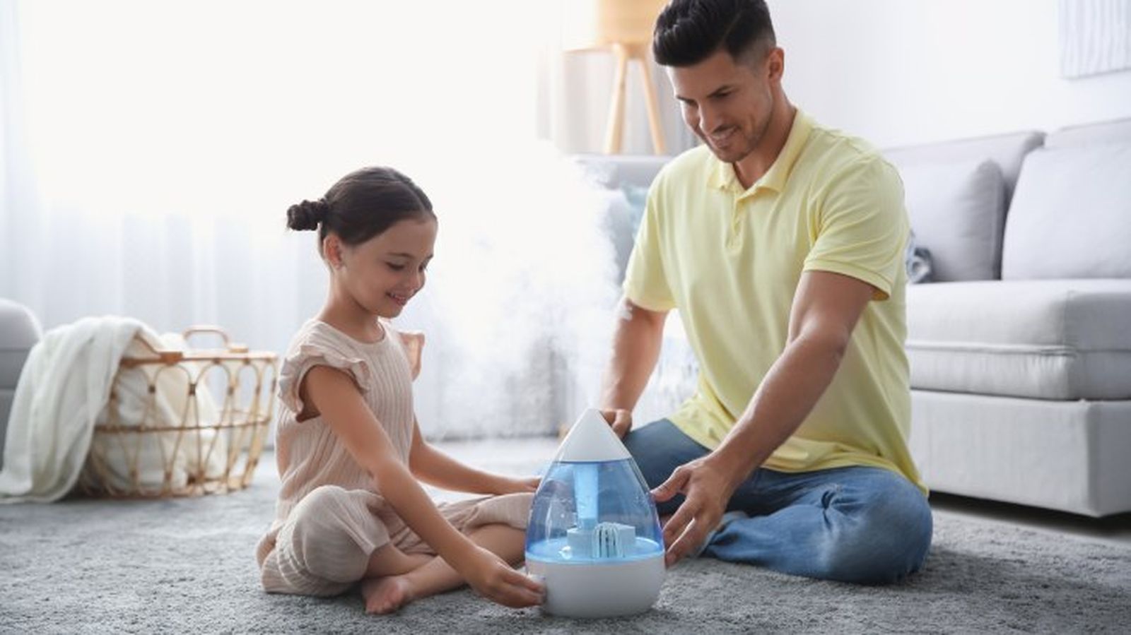 humidificadores ventajas desventajas humidificadores ventajas desventajas