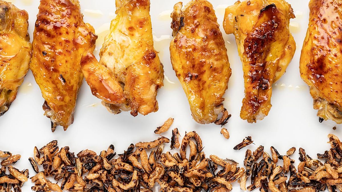 karl6637 alitas pollo xl