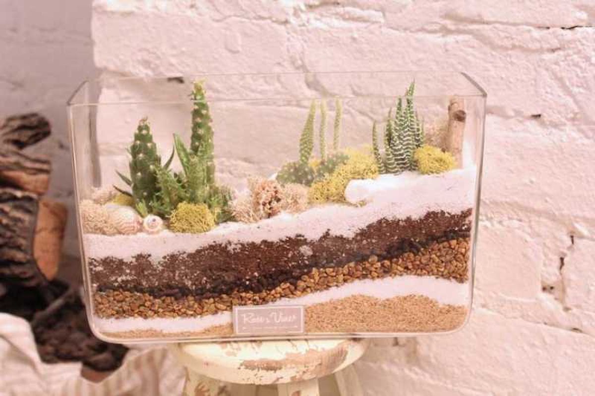 Acuario vacío reutilizado con cactus.