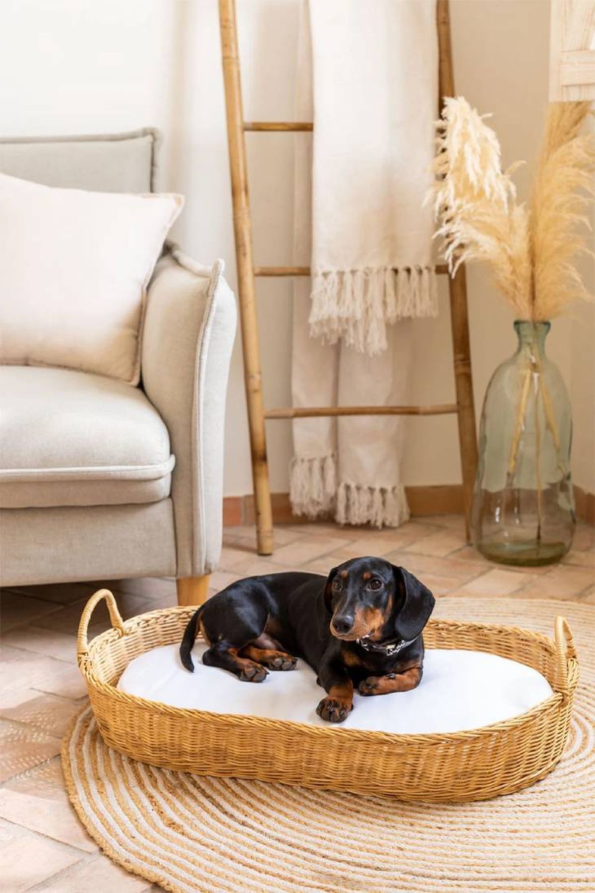 cama mascotas toby sklum