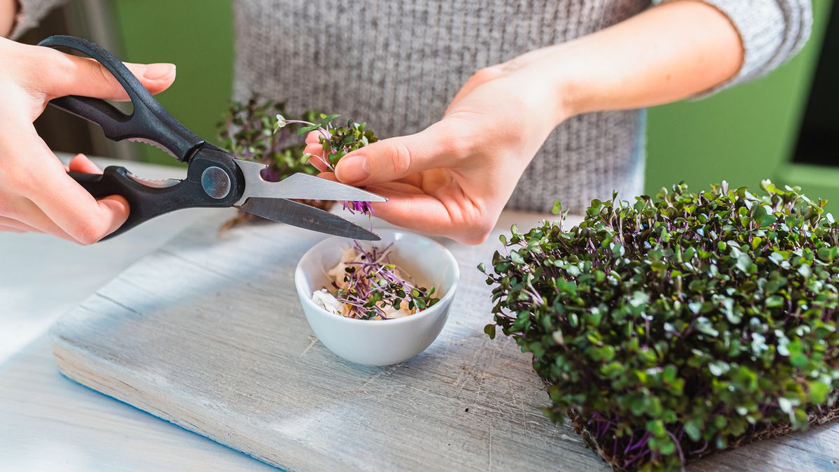 Utilízalos como adherezo para ensaladas, sandwiches o sopas