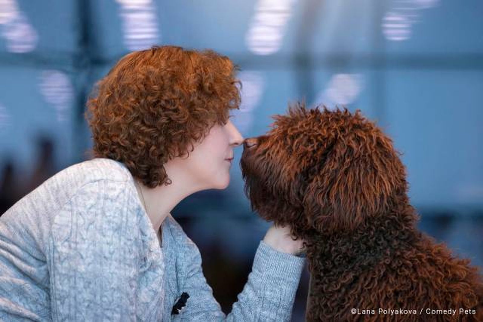 finalista19 premios fotografia Comedy Pet Photo Awards 2023