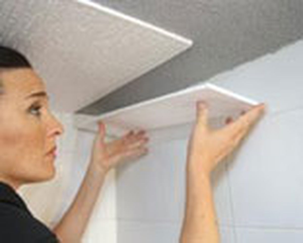 brico 0510 1 Colocar techo poliestireno expandido paso 7