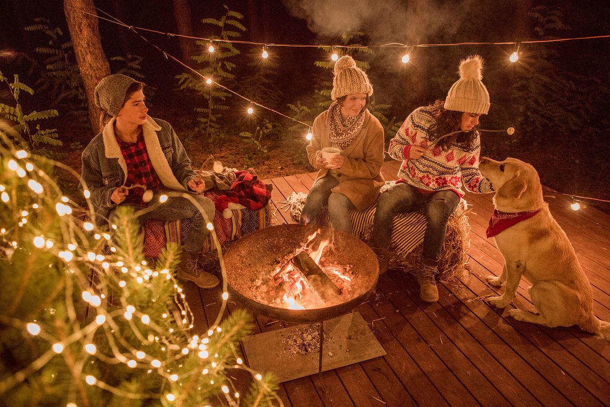 Cada vez hay más alojamientos dogfriendly que admiten mascotas.