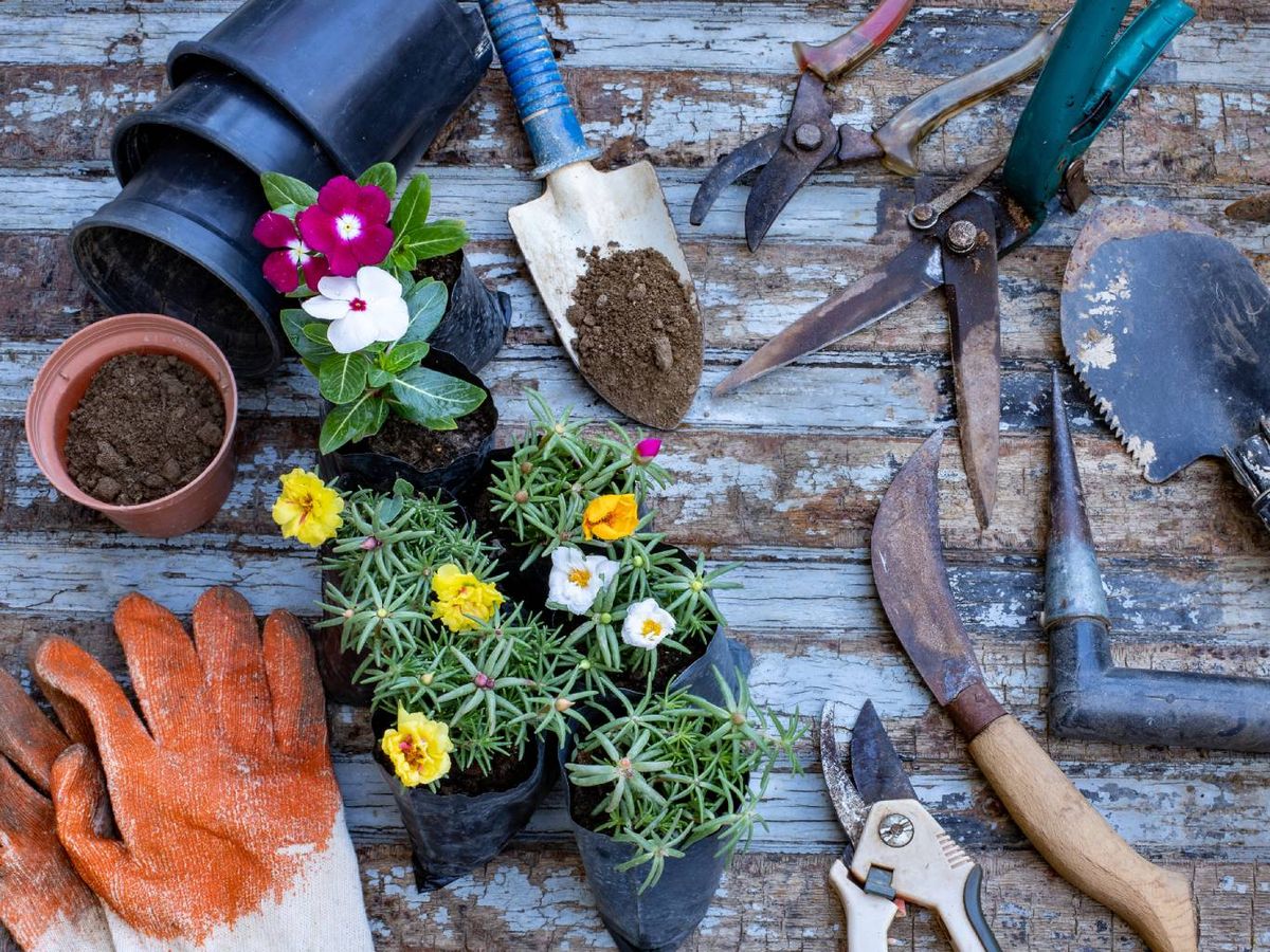 Es recomendable antes de utilizarlas limpiar, afilar y reparar tus herramientas.