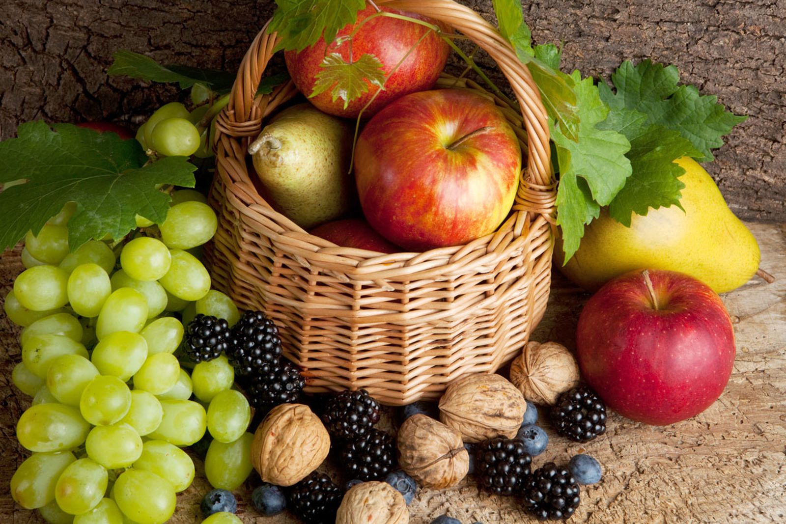 frutas otono xl
