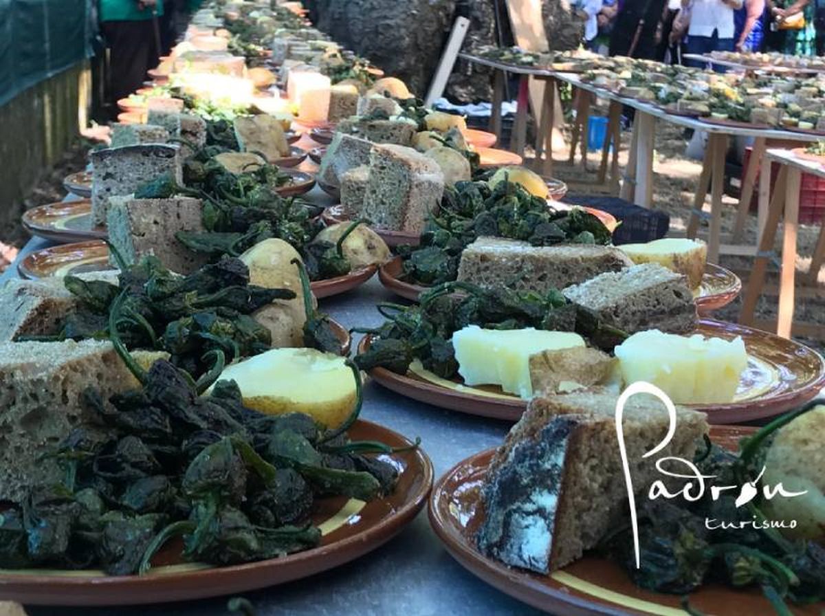 Cata tradicional de pimientos de Padrón (A Coruña, Galicia)