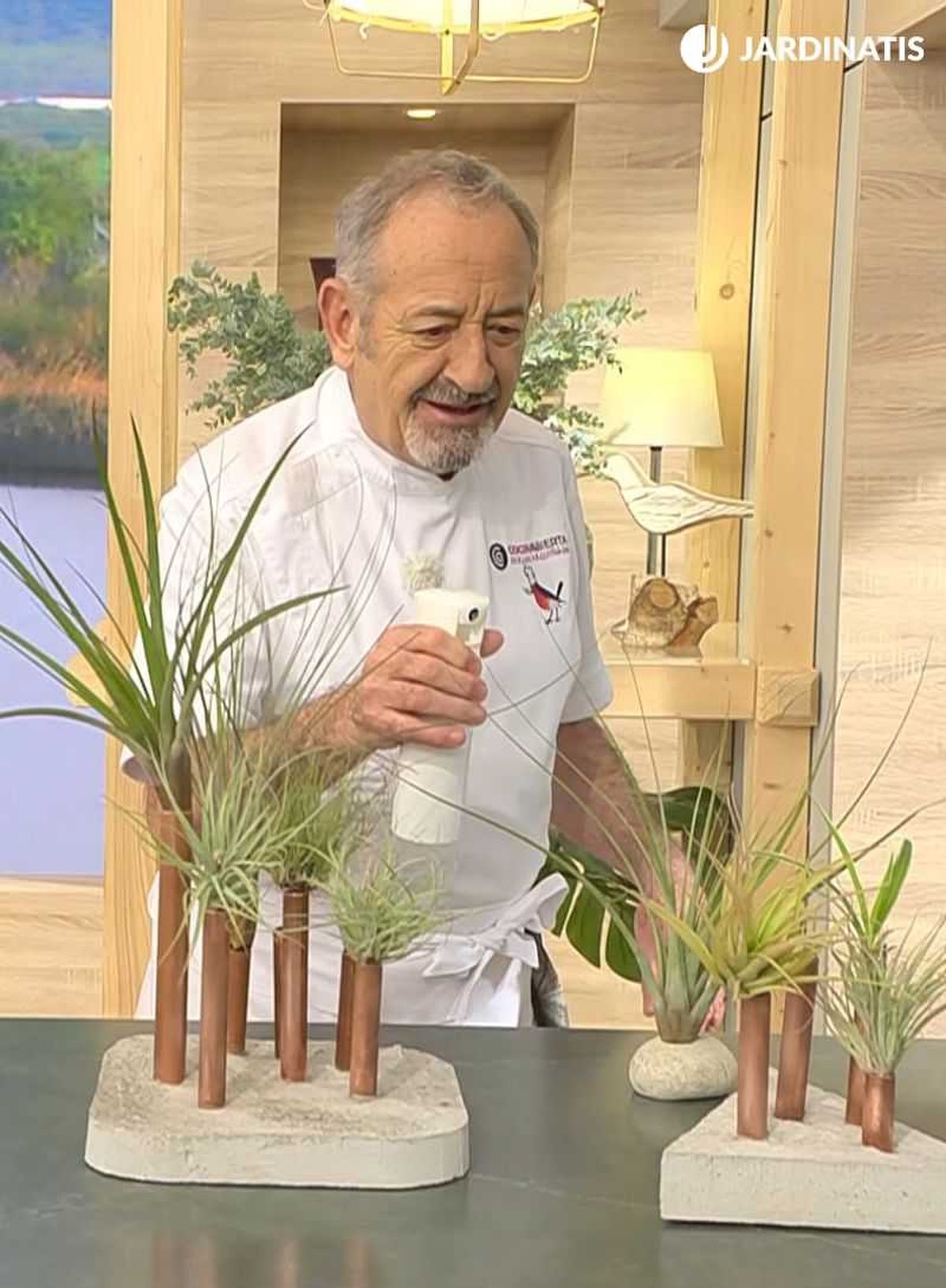 El clavel del aire es endémico de regiones con humedad ambiental elevada.