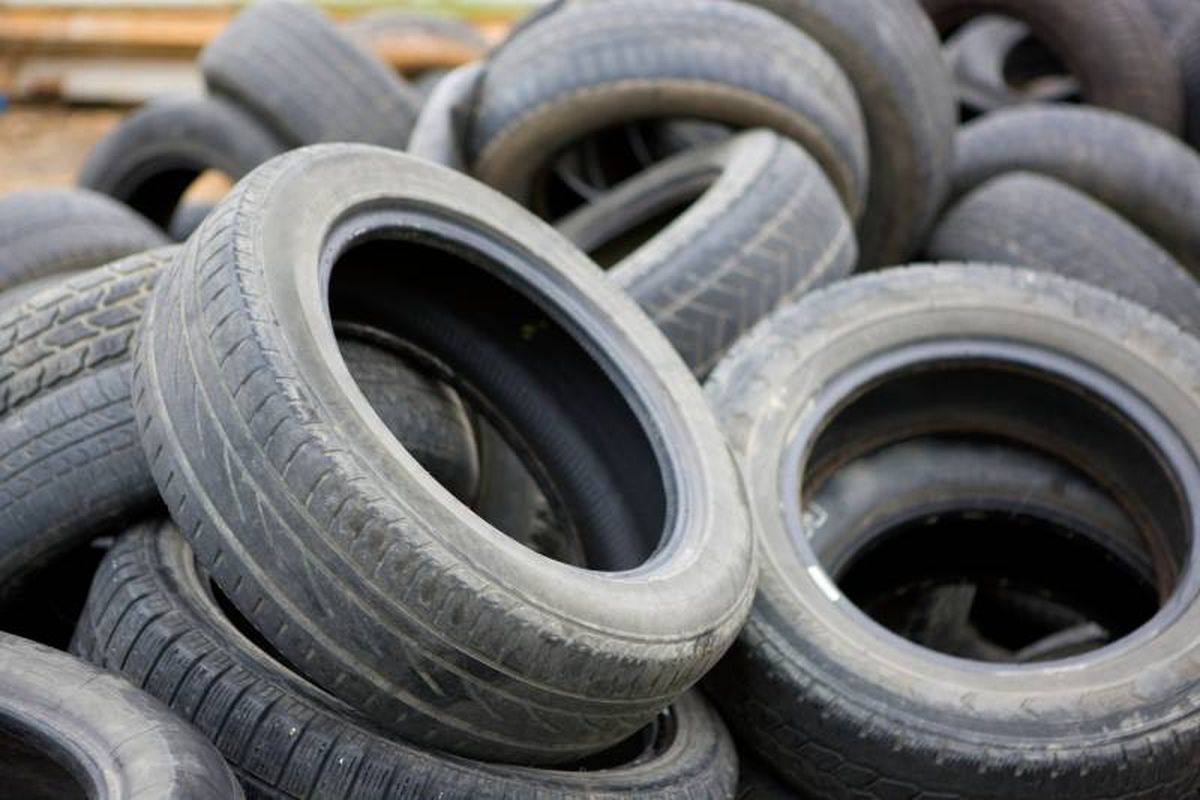 Una cama DIY para mascotas empleando un simple neumático usado es una opción duradera, ecológica y económica.