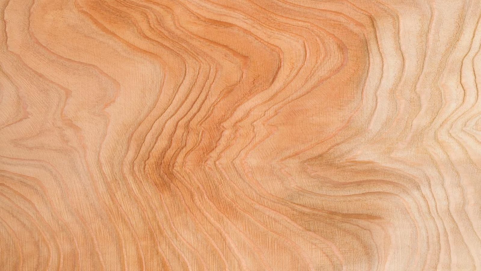 Madera de cedro
