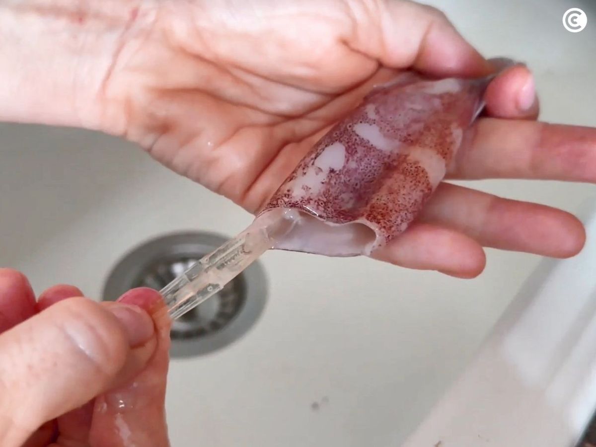 Limpiar los calamares para rellenarlos