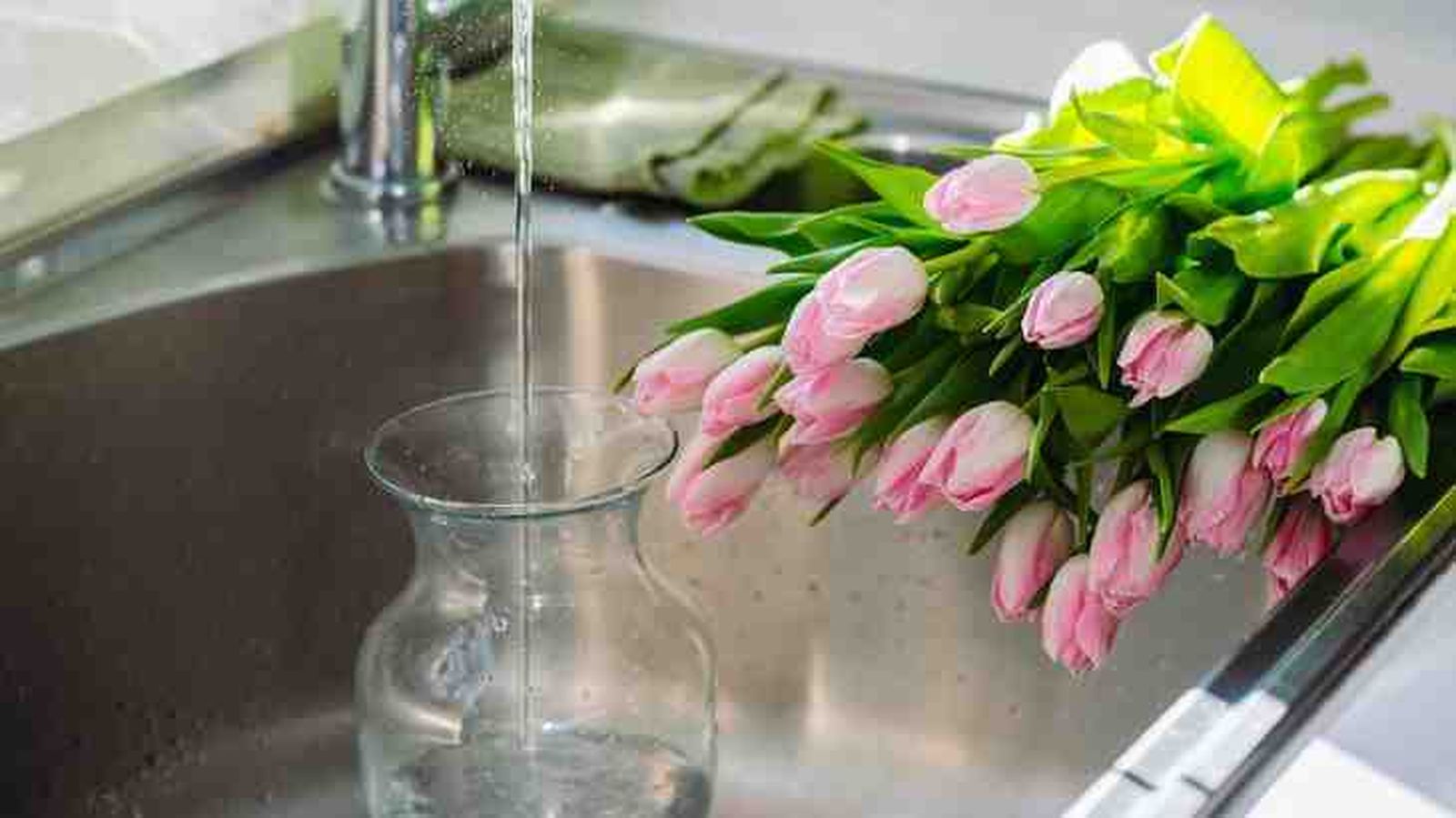 meter flores en agua para alargar su vida meter flores en agua para alargar su vida