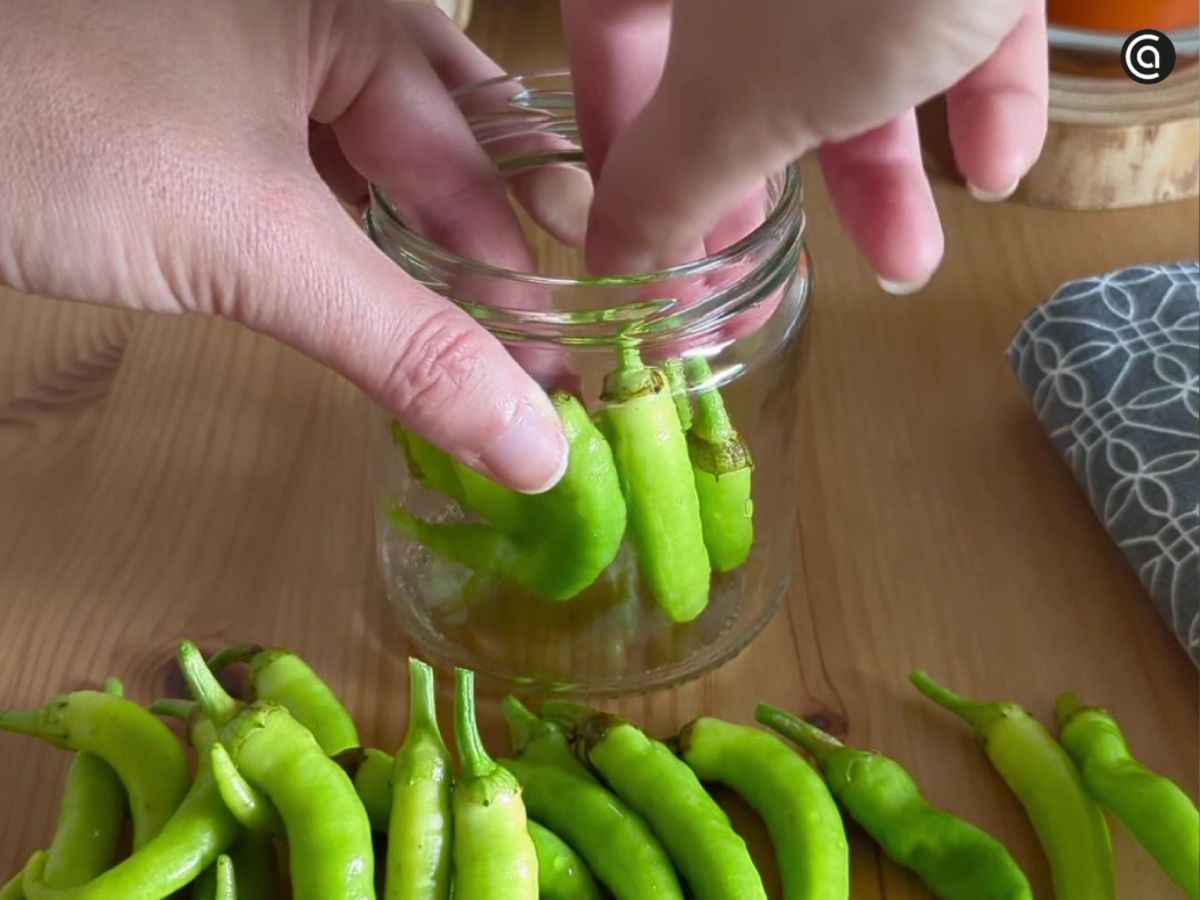 Se van introduciendo las guindillas en el tarro, procurando que queden bien ajustadas para aprovechar el espacio.