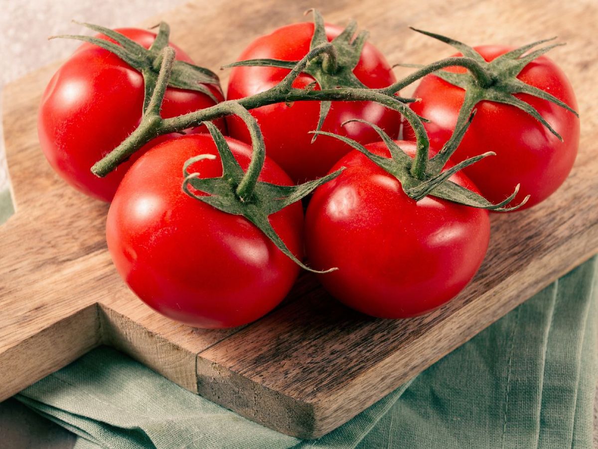 El tomate rama destaca por su textura jugosa y su sabor fresco