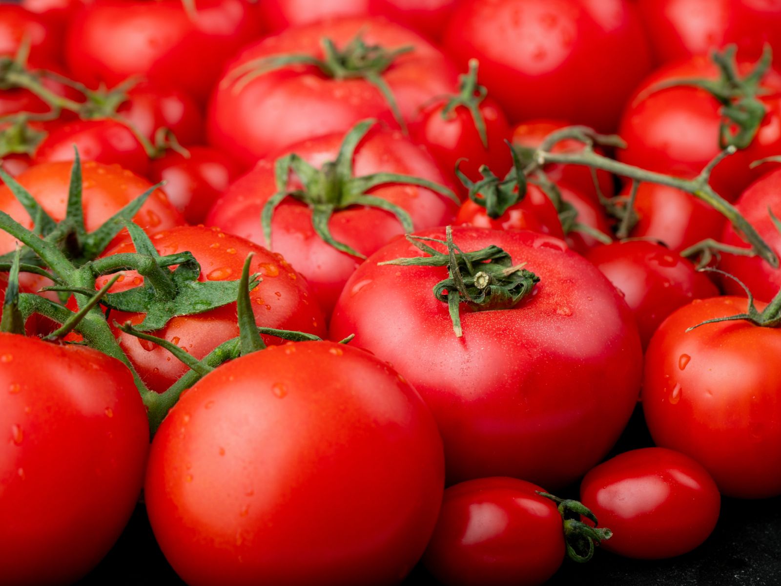 El tomate, recién llegado de América, transformó el gazpacho andaluz en el clásico rojo que hoy conocemos.