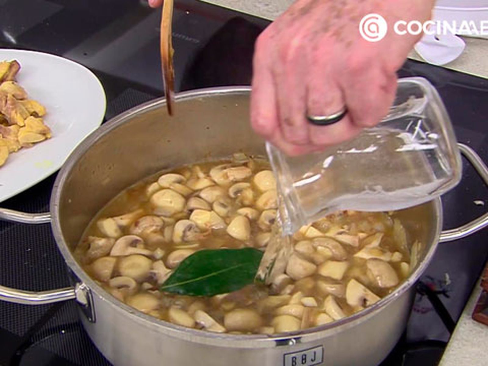 Añade agua y cocina karl6903 pollo champinones p3