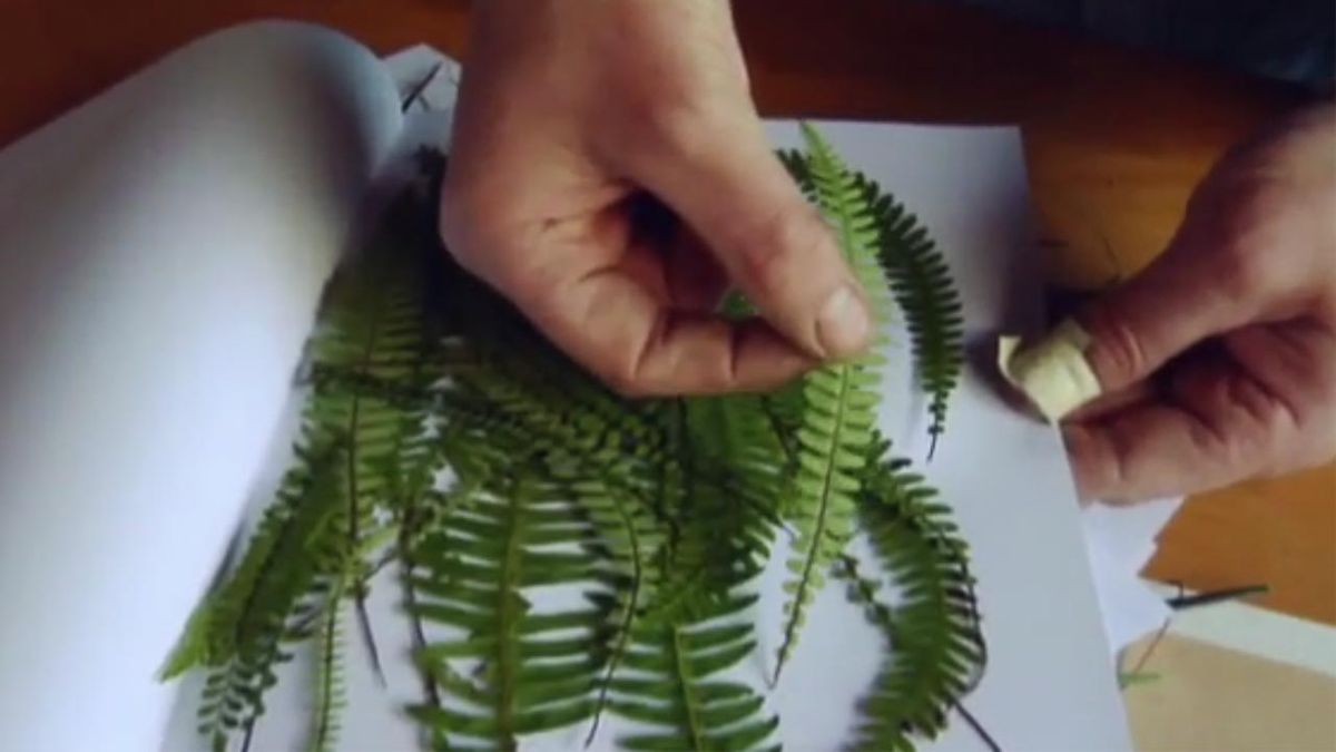 brico jardin 825 collage vegetal con hojas secas 1