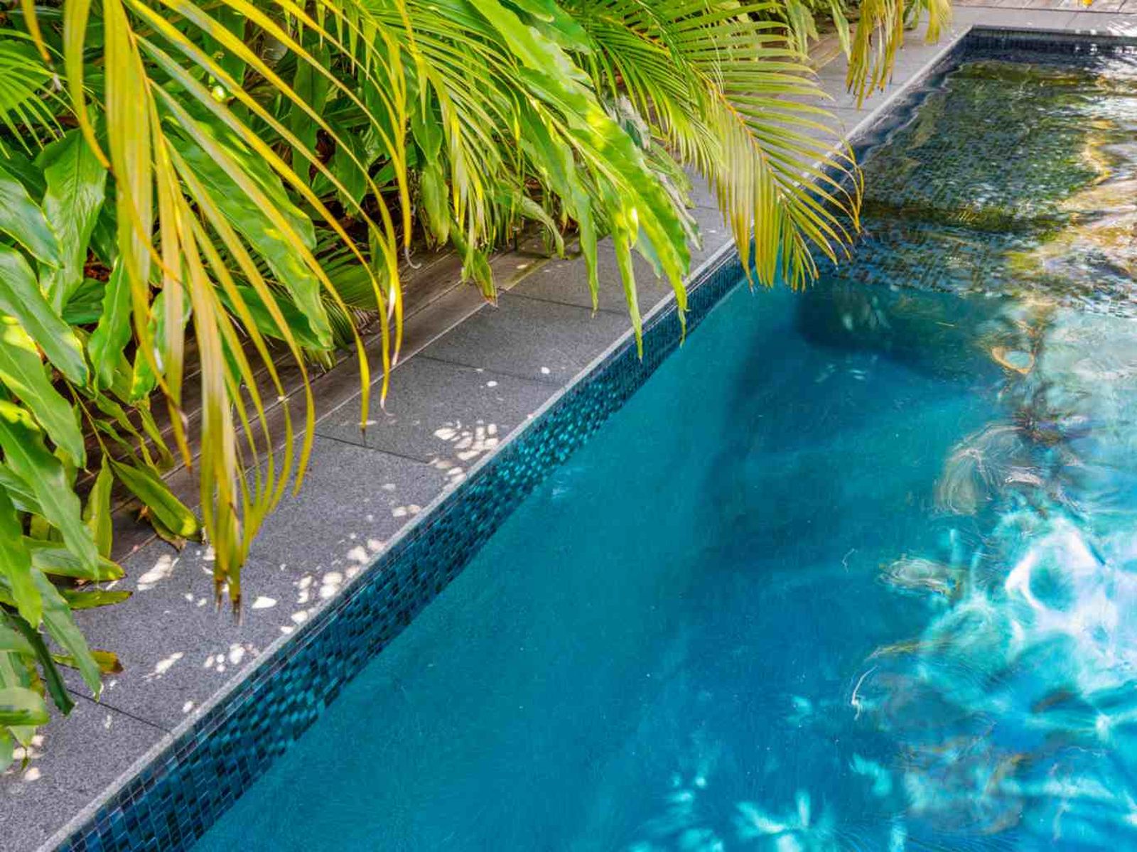 Piscina y biodiversidad pueden coexistir con el mantenimiento adecuado. Piscina y biodiversidad pueden coexistir con el mantenimiento adecuado.