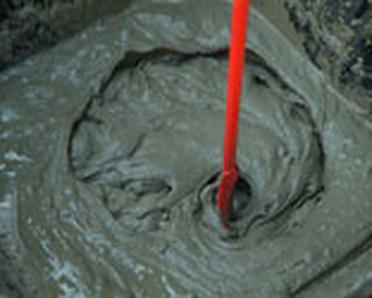 462 pied nat ext p09