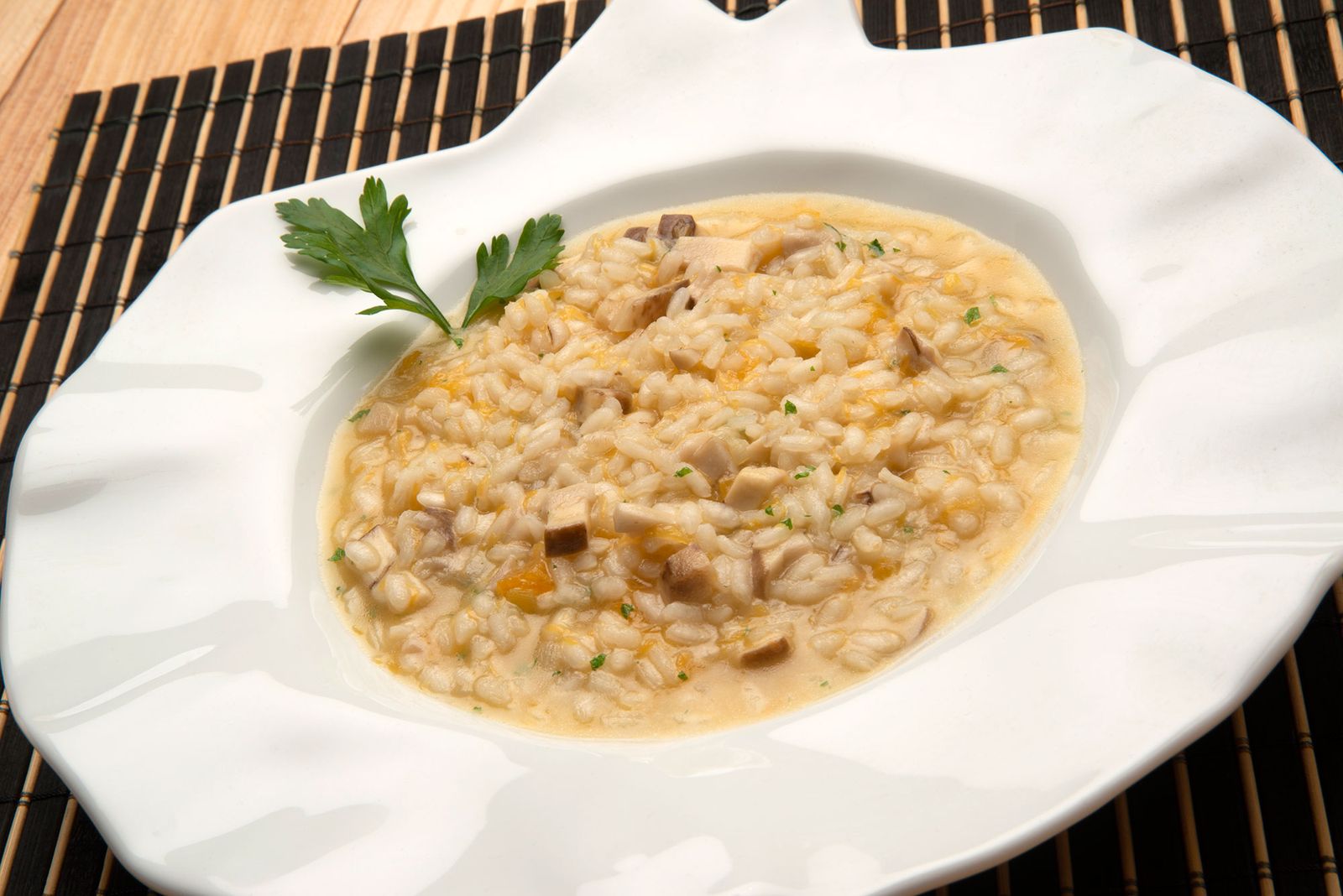 arroz boletus xl