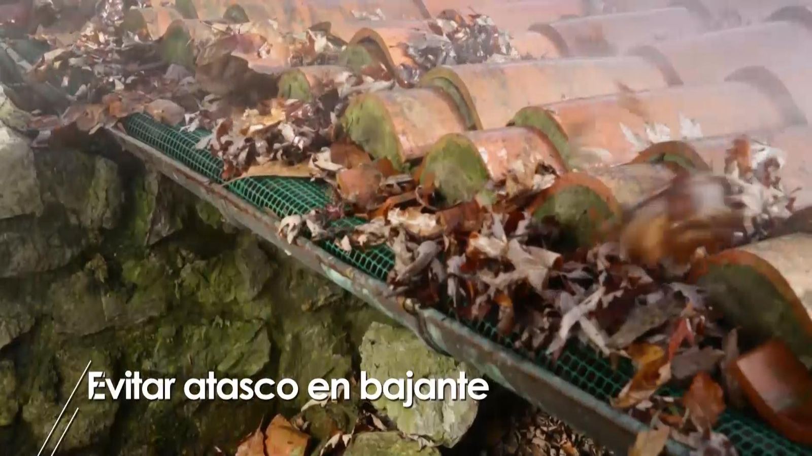 973 briconsejo 2 evitar atasco bajante paso 7 973 briconsejo 2 evitar atasco bajante paso 7