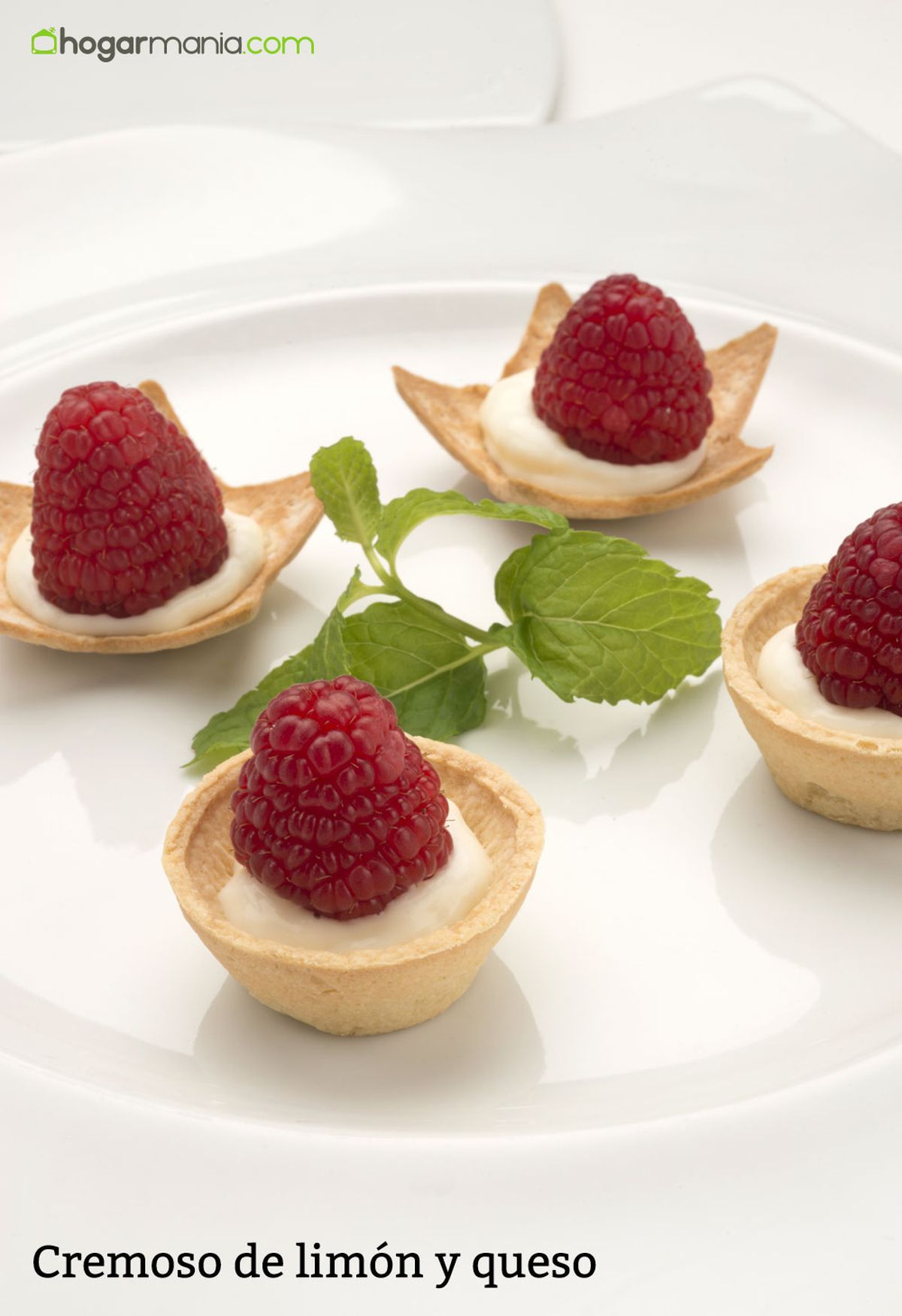 6082 2 Cremoso de limon y queso vertical xl