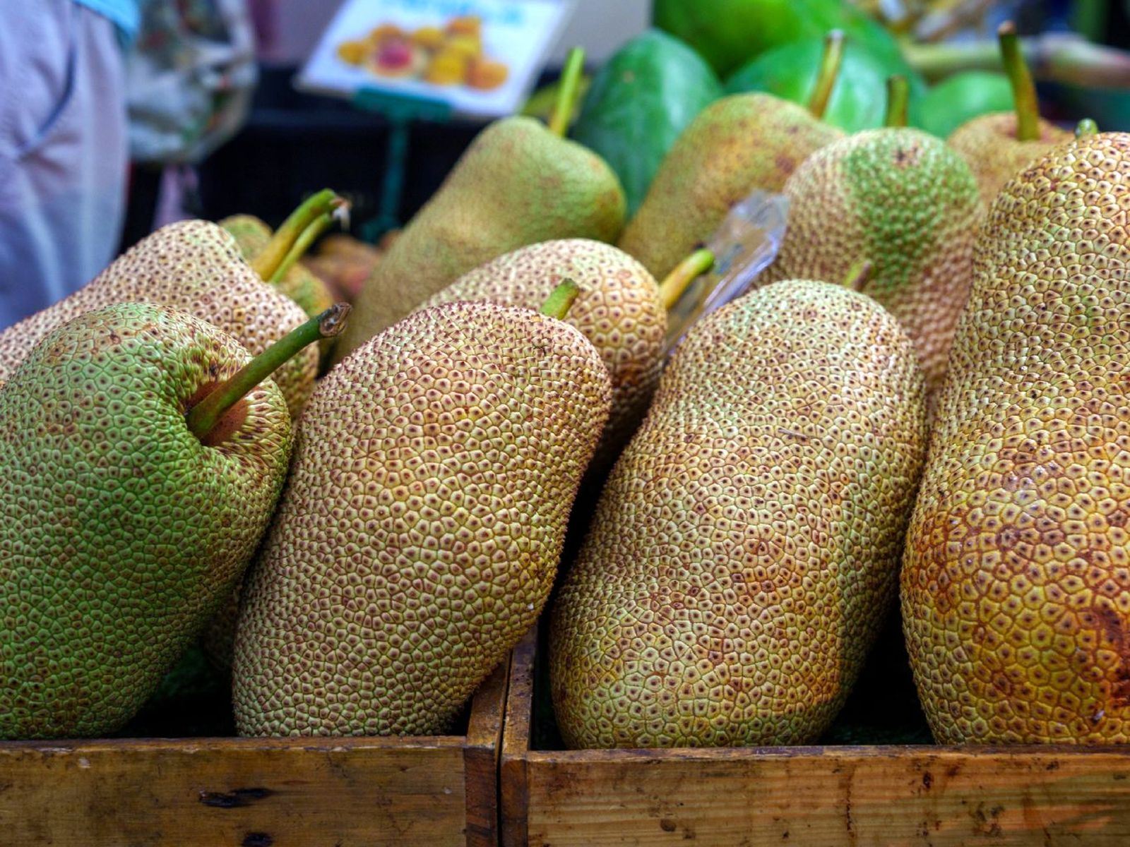 Cempedak Cempedak