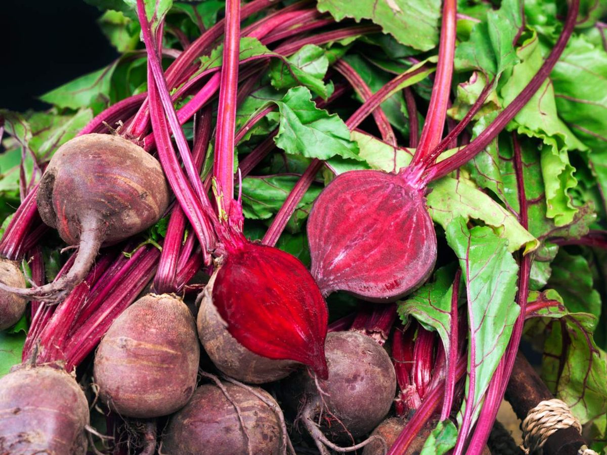 La remolacha puede mejorar la resistencia y la oxigenación muscular..