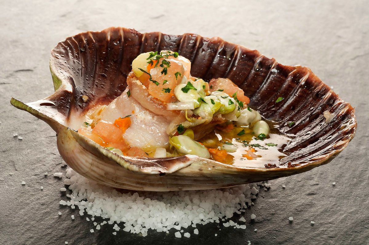 1446 Vieiras con habitas y panceta (630) xl