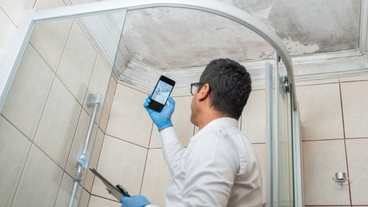Las paredes mojadas suelen provocar presencia de hongos