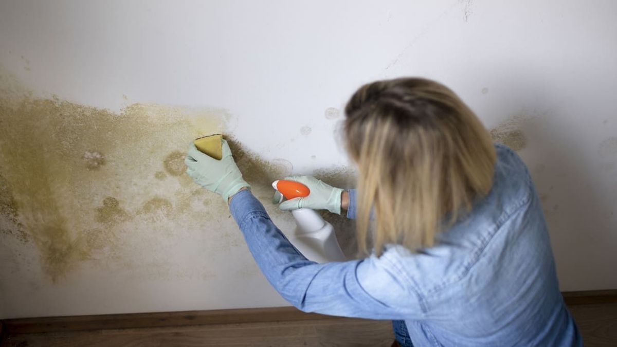 humedad por capilaridad paso 1