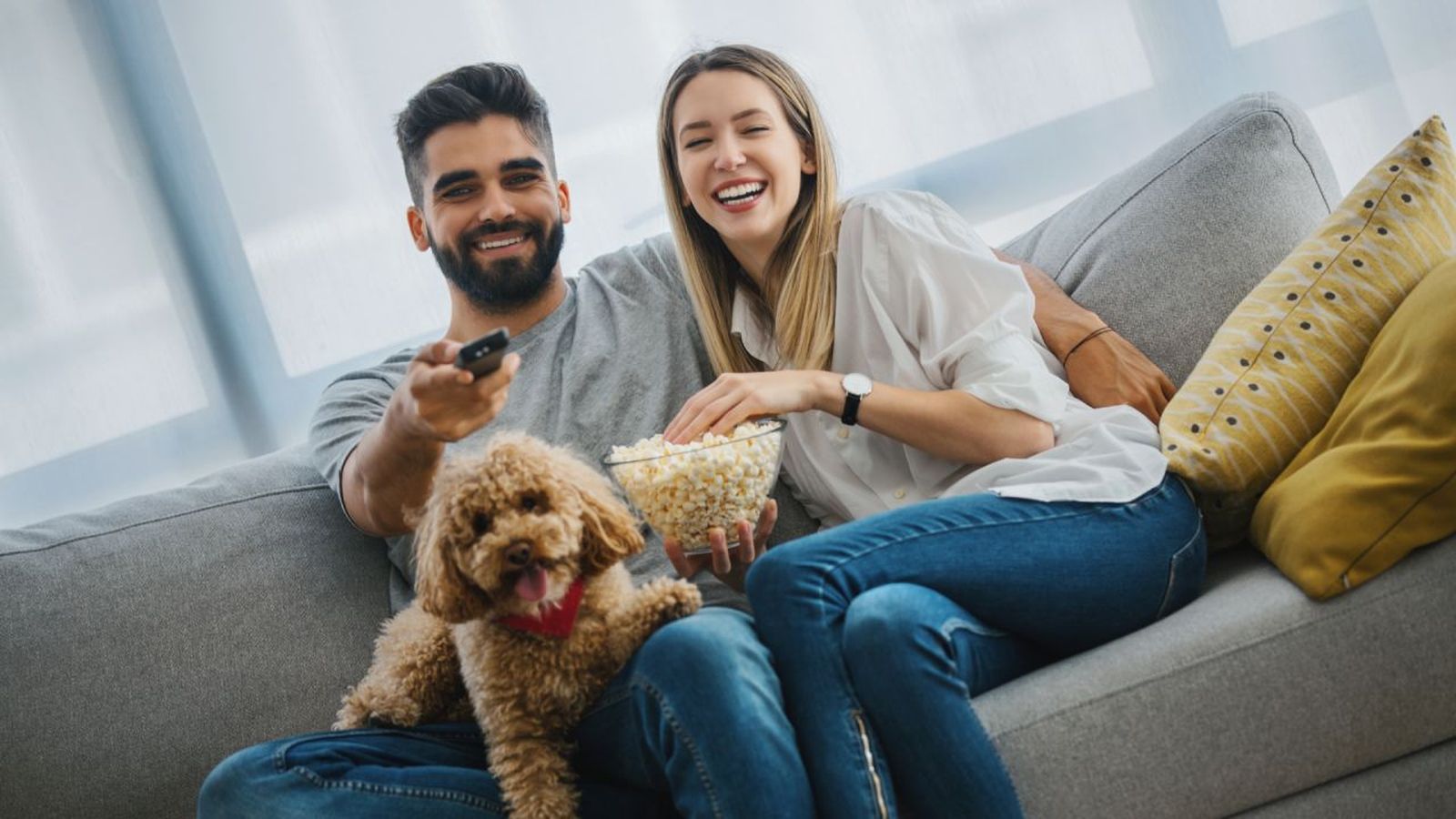 peliculas de perros