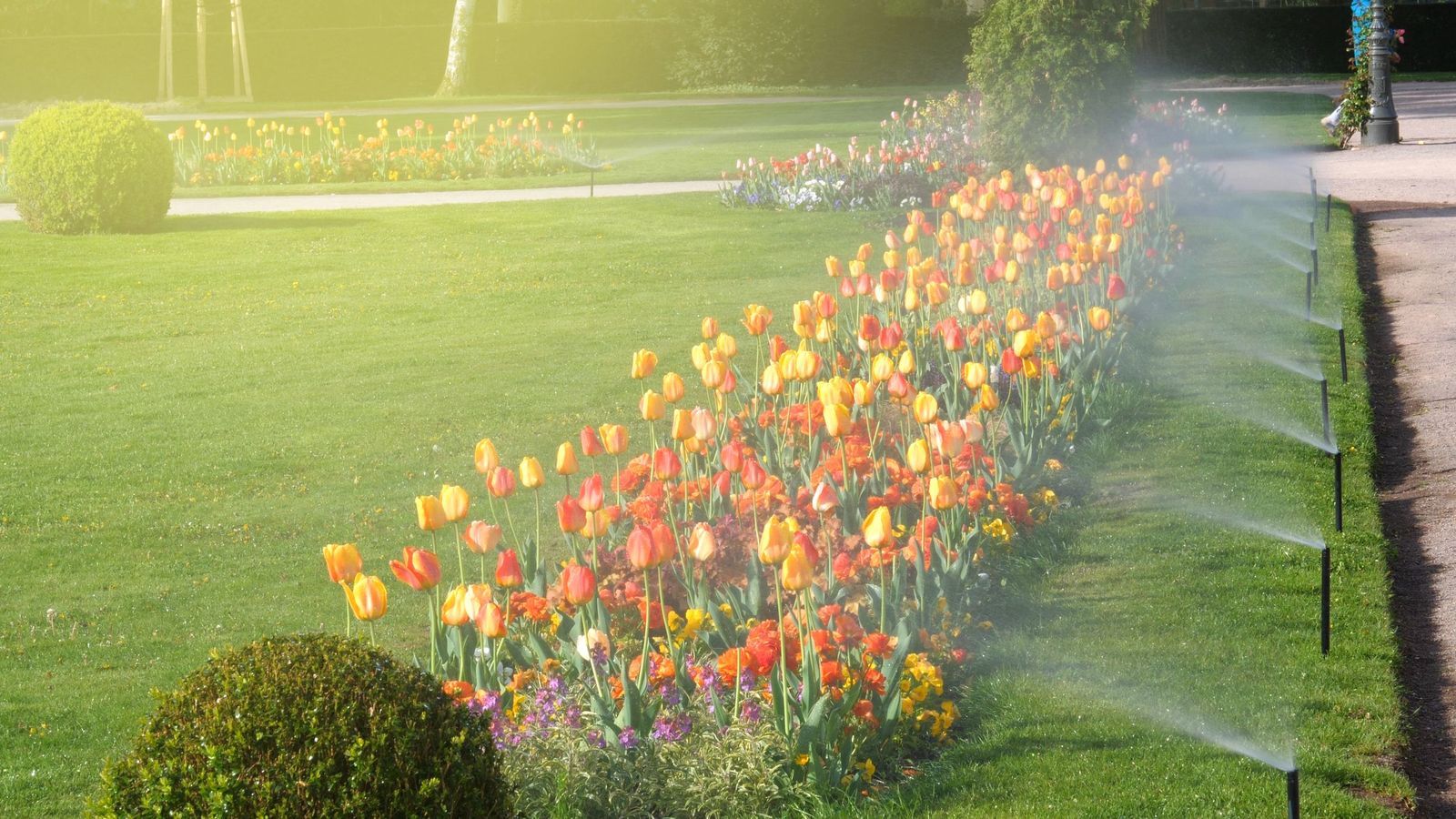 La IA y la tecnología contribuirán a lograr jardines más eficientes