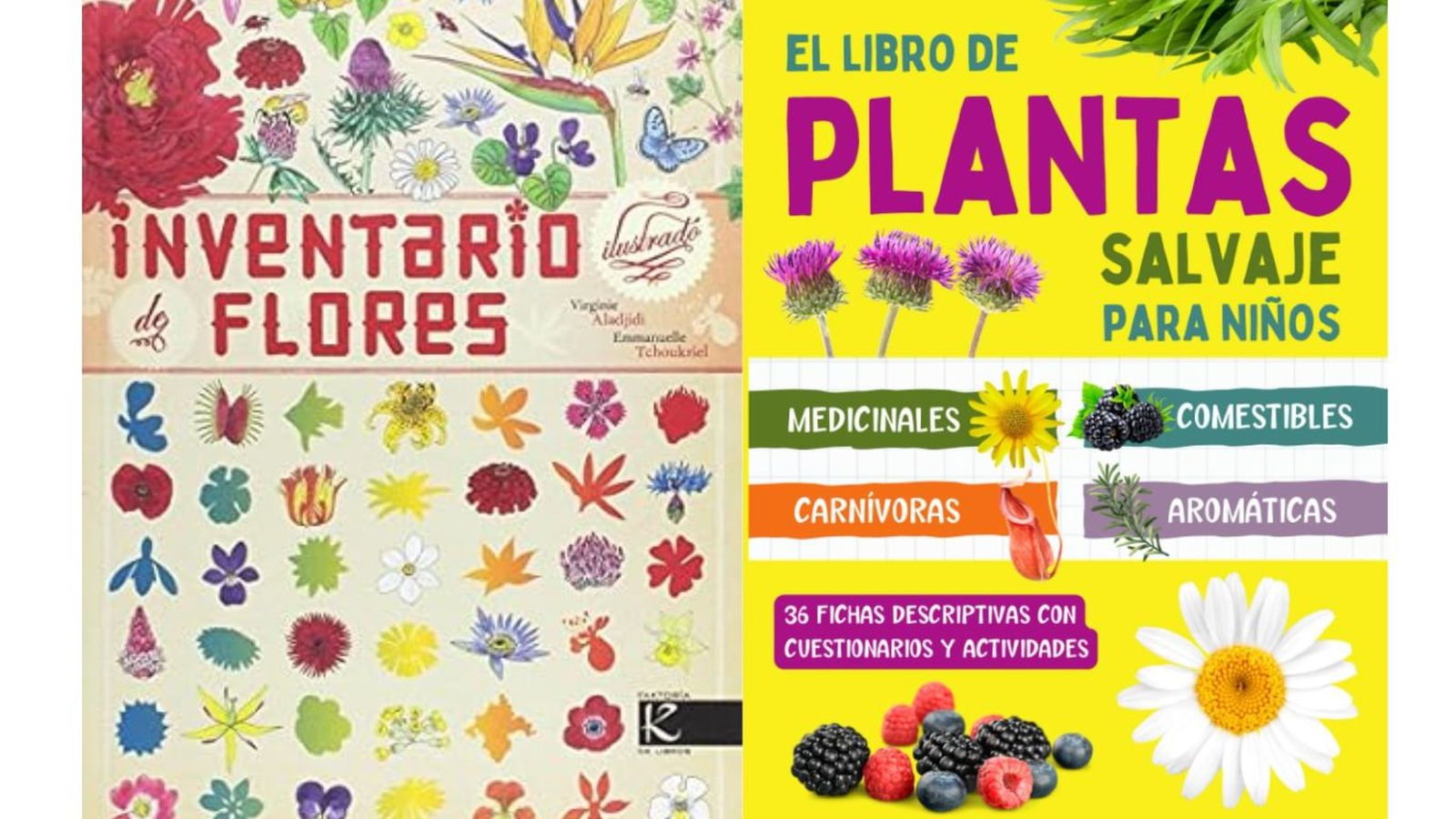 De izq. a drch.: Inventario ilustrado de flores y El libro de plantas salvaje para niños De izq. a drch.: Inventario ilustrado de flores y El libro de plantas salvaje para niños