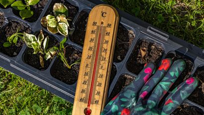 La mejor estrategia consiste en aumentar la resiliencia del jardín durante todo el año