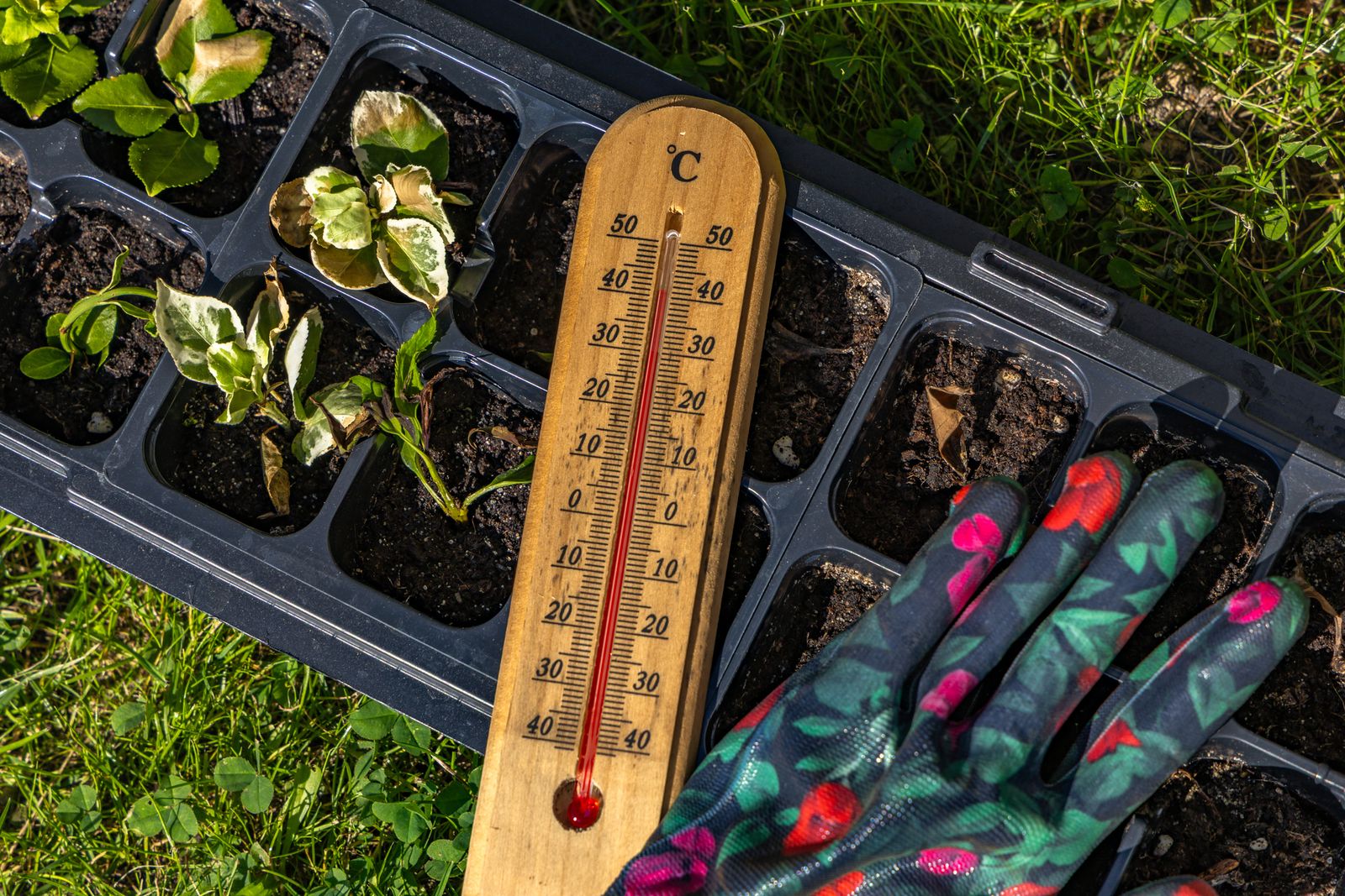 La mejor estrategia consiste en aumentar la resiliencia del jardín durante todo el año
