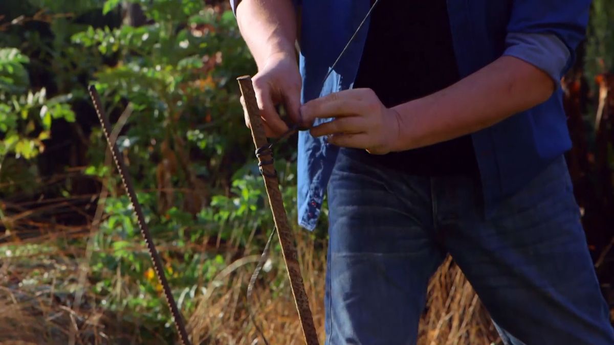 brico 983 3 conseguir manzano frutos paso3