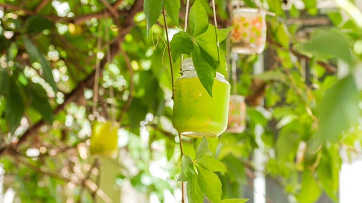 5 ideas tarros cristal decorar casa jardin