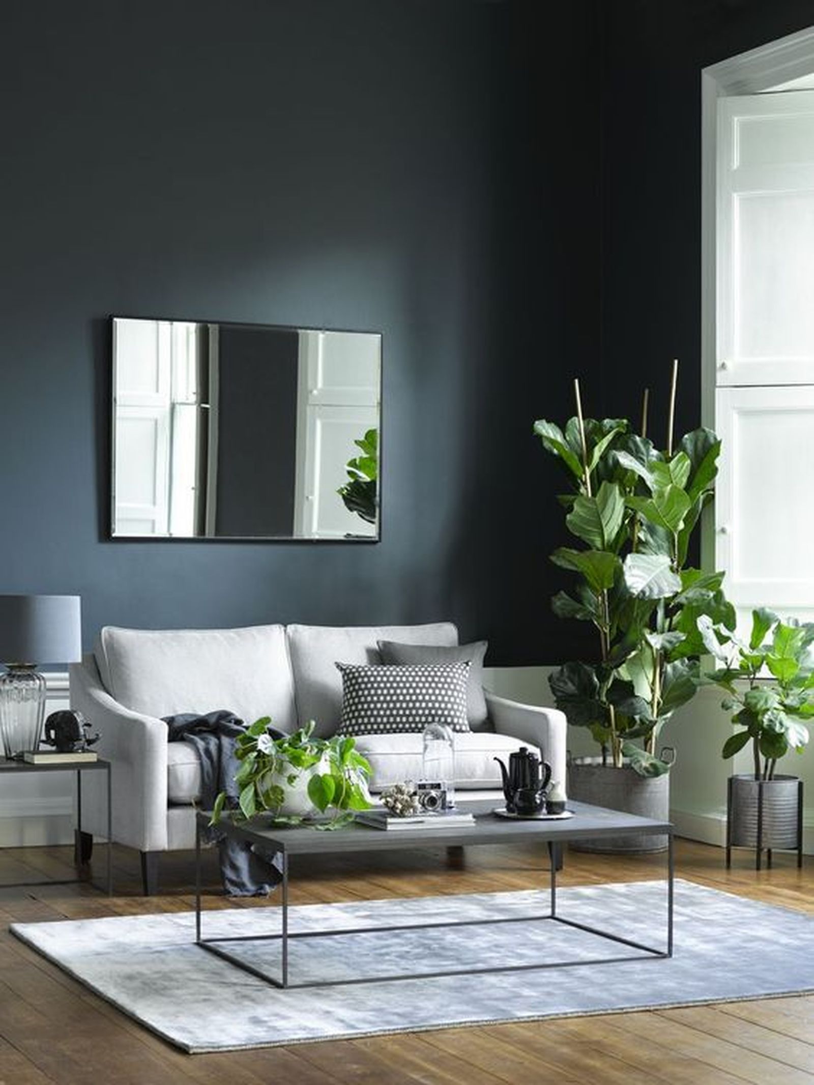 salon gris marengo plantas salon gris marengo plantas